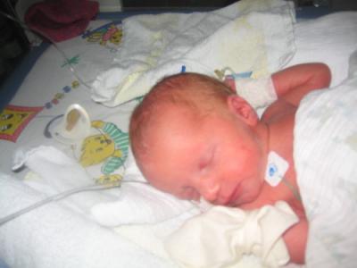 Bild zu Bilder von Lilly und Mia! - Forum für April - Mamis