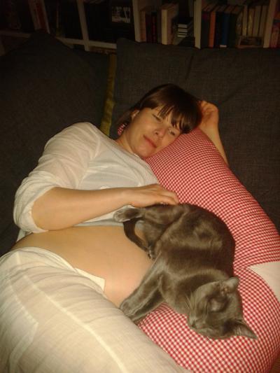 Bild zu Mein kater lliebt das stillkissen :-) - Forum für April - Mamis