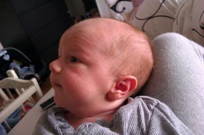 Bild zu mein kleiner opi...haarverlust - Forum für April - Mamis