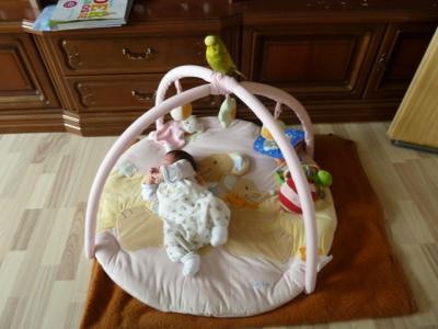 Bild zu Wenn ich meine Kleine so anschau - Forum für April - Mamis