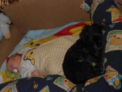 Bild zu an alle mit tieren wie reagieren sie auf den nachwuschs?? - Forum für April - Mamis