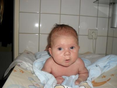 Bild zu Wieder schwanger ... - Forum für April - Mamis