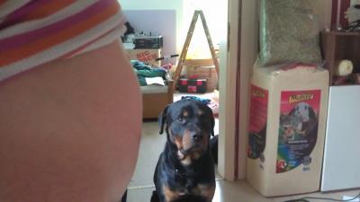 Bild zu Versuch von bauchbild mit jemand anderen :) - Forum für April - Mamis