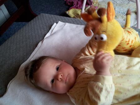 Bild zu 