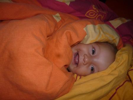 Bild zu 