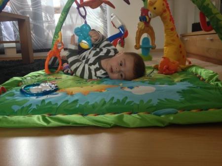 Bild zu