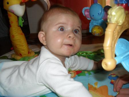 Bild zu