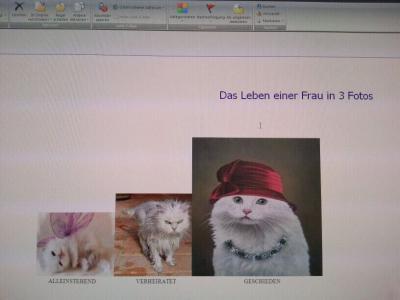 Bild zu Die Ehe und ihre Auswirkung - Forum für April - Mamis