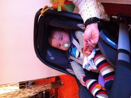 Bild zu