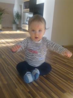 Bild zu