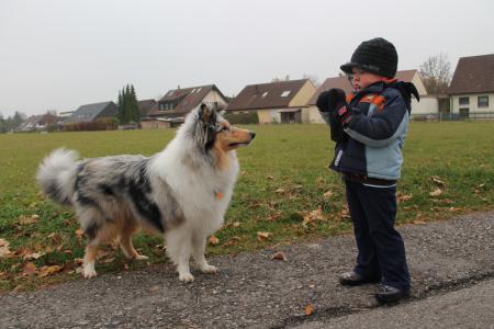 Bild zu 