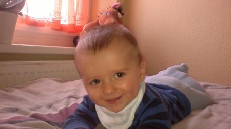 Bild zu