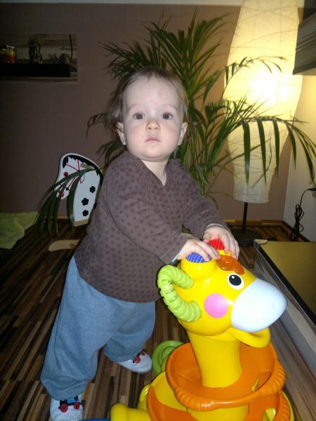 Bild zu