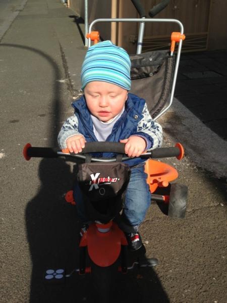 Bild zu