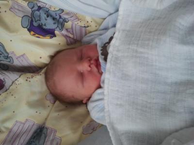 Bild zu Mein kleiner Prinz - Forum für April - Mamis