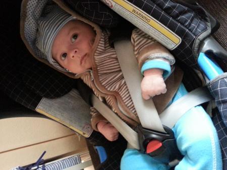 Bild zu 