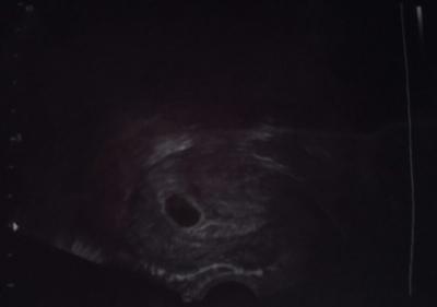 Bild zu *** 1. FA Besuch *** - Forum für April - Mamis