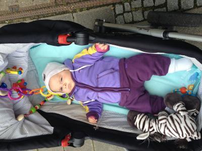 Bild zu Kinderwagen und Trage - Forum für April - Mamis