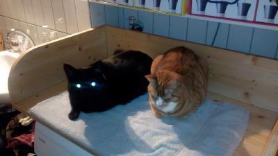 Bild zu Wickelbrett .... - Forum für April - Mamis