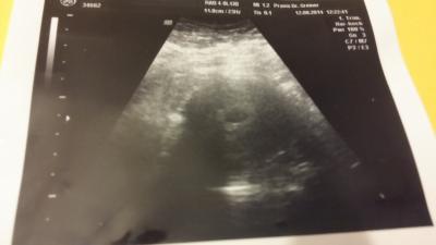 Bild zu huhu ihr lieben - Forum für April - Mamis