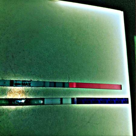 Bild zu 