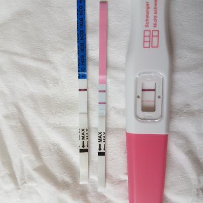 Bild zu Nmt+1 und Presense Sst - Forum für April - Mamis