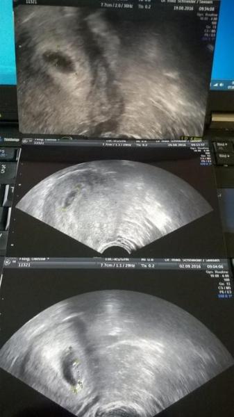 Bild zu Meine Bilder Reihe =) - Forum für April - Mamis