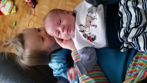 Bild zu