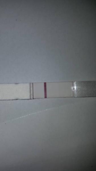 Bild zu Testamedtest Erfahrung - Forum für April - Mamis