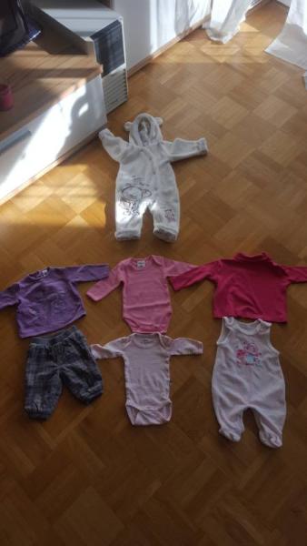 Bild zu 