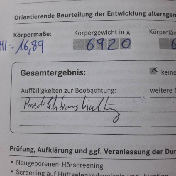 Bild zu 