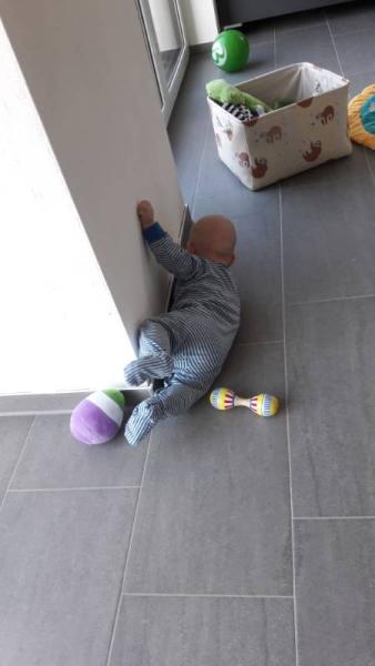 Bild zu