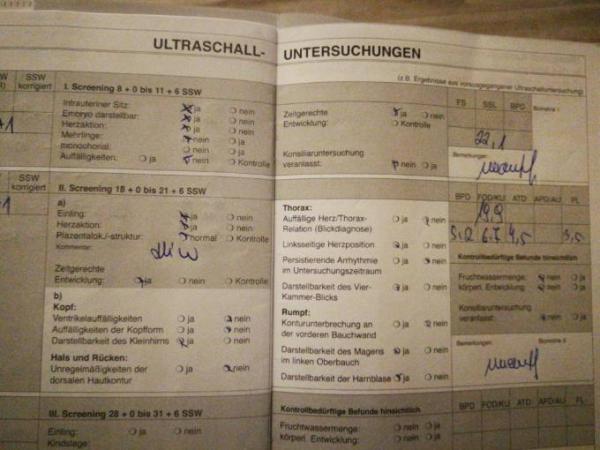 Bild zu 