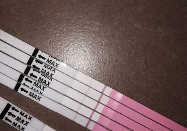 Bild zu Ovus werden nicht positiv - Forum für April - Mamis