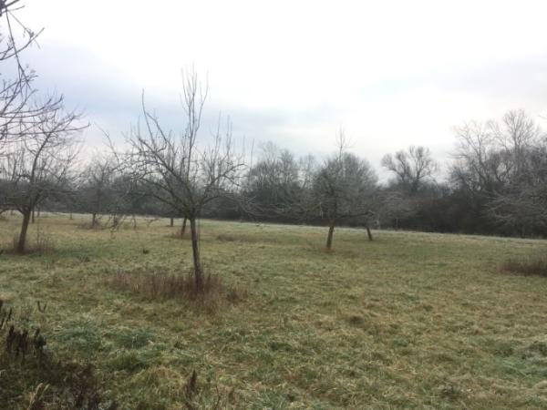 Bild zu Hallo an alle und liebe Grüße 🌻 - Forum für April - Mamis