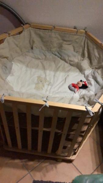 Bild zu An alle mit Haustieren - Forum für April - Mamis