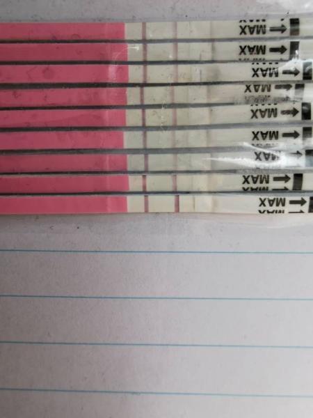 Bild zu Ovu test  - Forum für April - Mamis