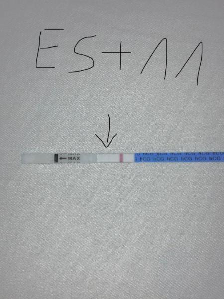 Bild zu Update - ES+11 - Forum für April - Mamis