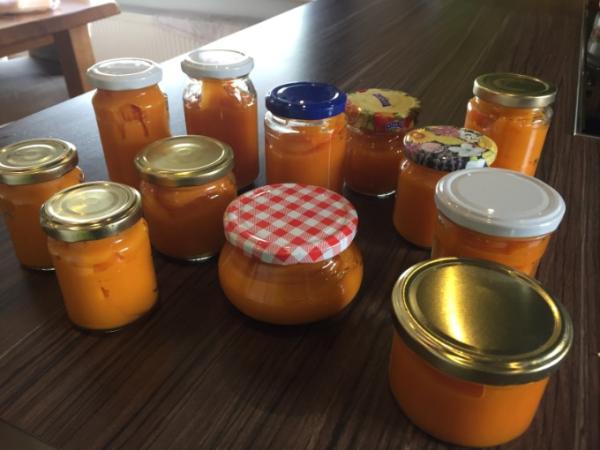 Bild zu Brei 🎃 - Forum für April - Mamis