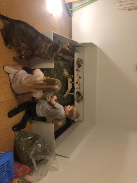Bild zu Familienzuwachs ❤️ - Forum für April - Mamis