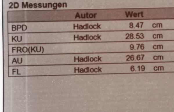 Bild zu 