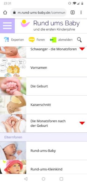 Bild zu 