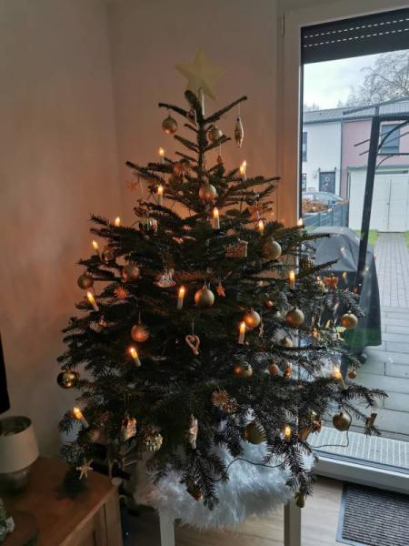 Bild zu