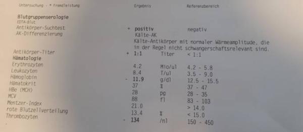 Bild zu Antikörper positiv HILFE - Forum für April - Mamis