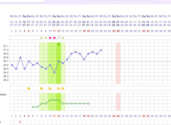 Bild zu Temperatur oben Test leider Negativ - Forum für April - Mamis