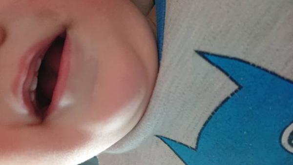 Bild zu 