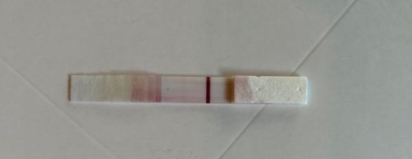Bild zu Test nehmen zu oder ab? - Forum für April - Mamis