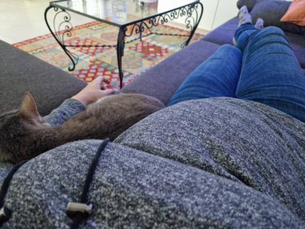 Bild zu 