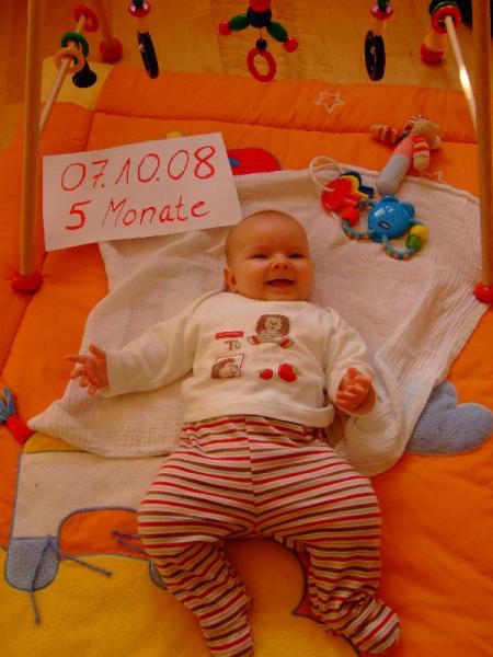 Bild zu Können schon irgendwelche Maikäfer sitzen / und neues Foto - Forum für Mai - Mamis