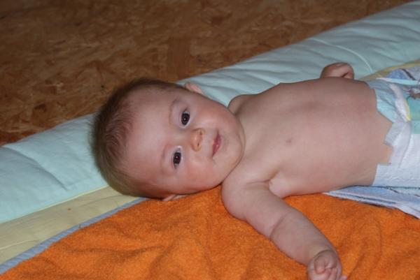 Bild zu